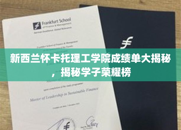 新西兰怀卡托理工学院学子荣耀榜，揭秘学霸们的成绩秘籍