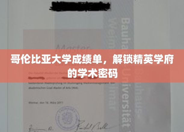 哥伦比亚大学成绩单，解锁精英学府的学术密码