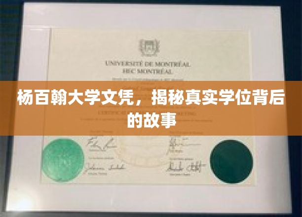 杨百翰大学文凭之谜，揭开学历背后的传奇故事