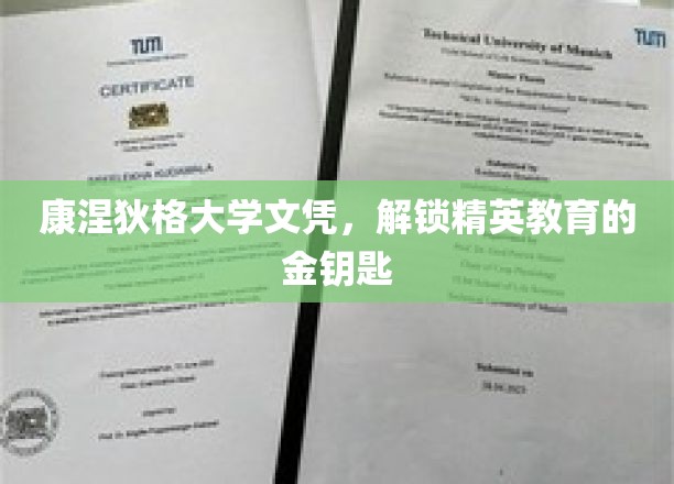 康涅狄格大学文凭，开启精英之路的金钥匙之谜