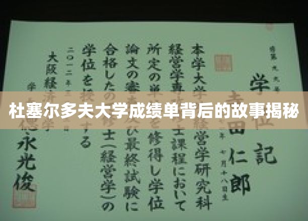 杜塞尔多夫大学成绩单背后的故事揭秘