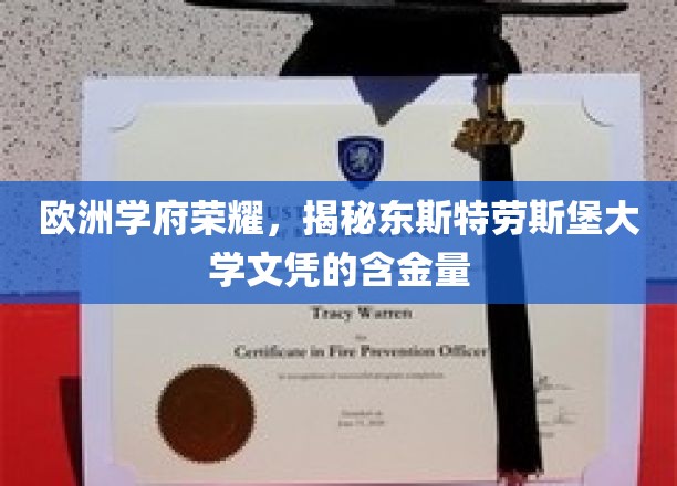 欧洲学府荣耀，揭秘东斯特劳斯堡大学文凭的含金量
