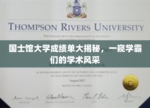 国士馆大学成绩单大揭秘，一窥学霸们的学术风采