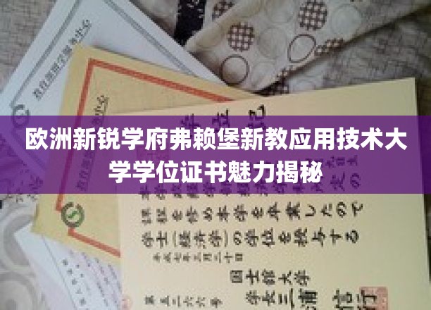 解码弗赖堡新教应用技术大学，独特学位证书背后的魅力探索