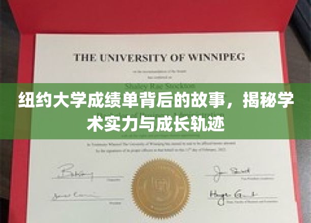 探寻纽约大学成绩单背后的秘密，揭秘学术成长与辉煌轨迹