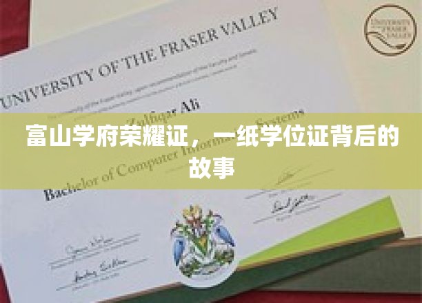学位荣耀背后，富山学府的非凡旅程