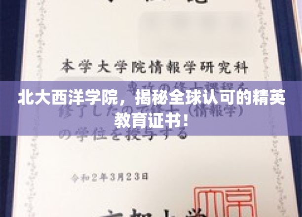 北大西洋学院，揭秘全球认可的精英教育证书！