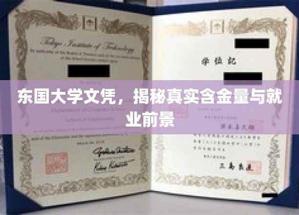 东国大学文凭价值揭秘，含金量与就业前景全面分析