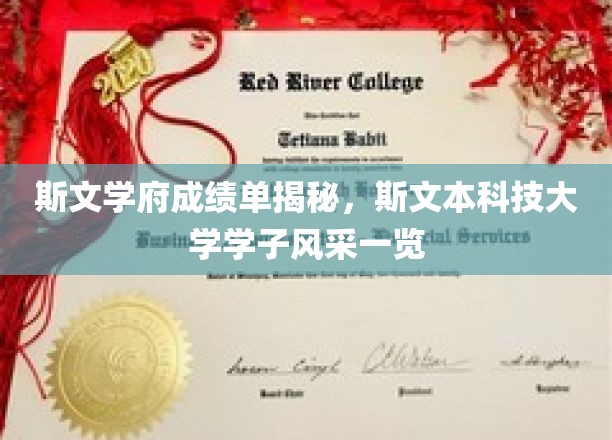斯文本精英荟萃，探秘斯文学府的骄人成绩与学子风采