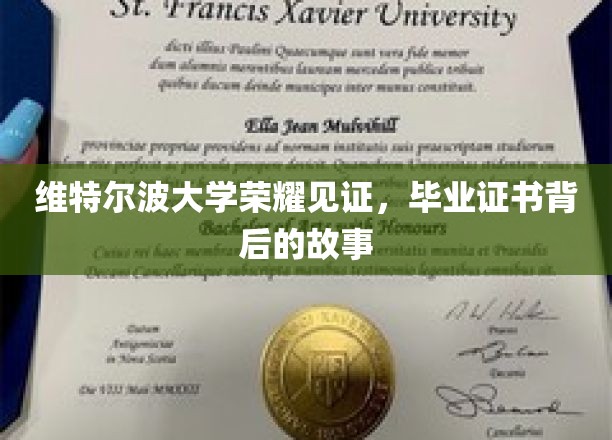 维特尔波荣耀，一纸证书背后的传奇历程
