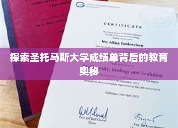 探索圣托马斯大学成绩单背后的教育奥秘