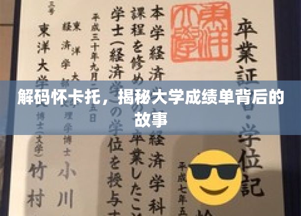 解码怀卡托，揭秘大学成绩单背后的故事