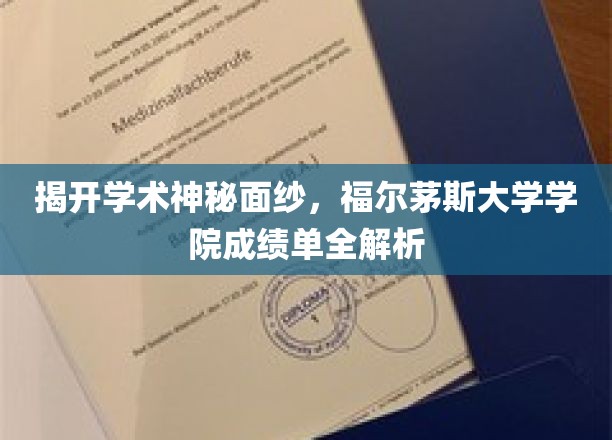 解码学术殿堂，福尔茅斯大学学院成绩单深度揭秘