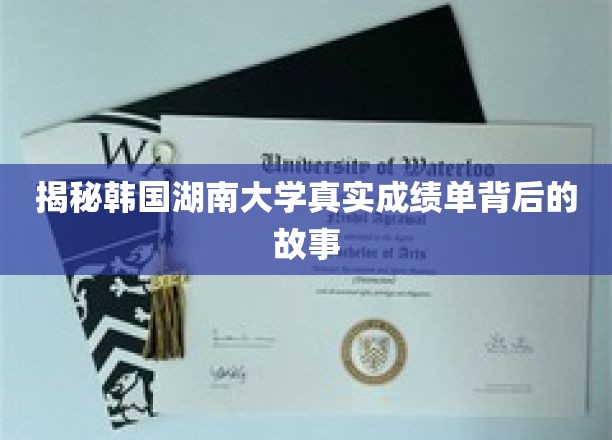 揭秘，韩国湖南大学成绩单之谜，背后的真相令人震惊！