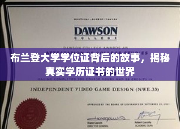 布兰登大学学位证奇遇，一窥学历证书背后的真实奥秘