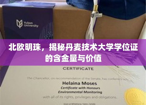 探寻丹麦技术大学学位证的闪耀价值，北欧明珠的教育瑰宝