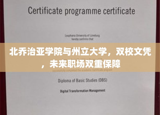 双校联袂，未来职场双保险，北乔治亚学院与州立大学双文凭计划大揭秘