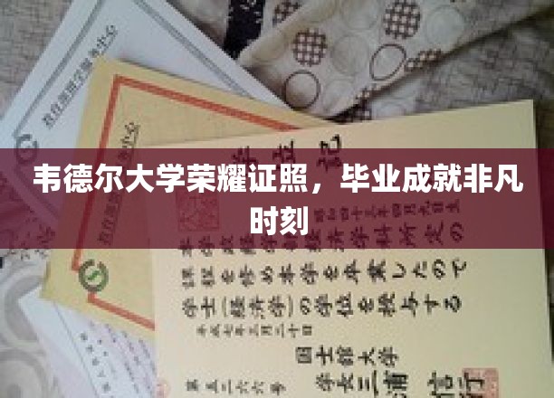 韦德尔大学荣耀证照，毕业成就非凡时刻