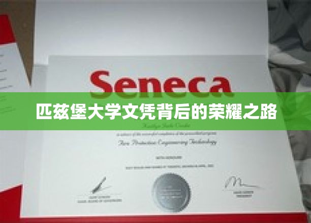 解码匹兹堡大学，荣耀文凭背后的奋斗轨迹