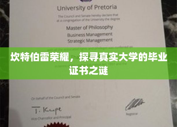 揭开坎特伯雷荣耀，揭秘大学证书背后的真实故事