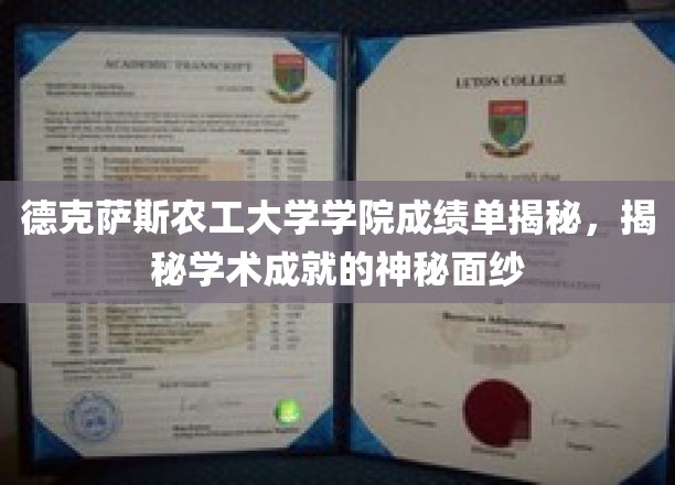 德克萨斯农工大学学院成绩单深度解析，揭开学术成就的神秘面纱