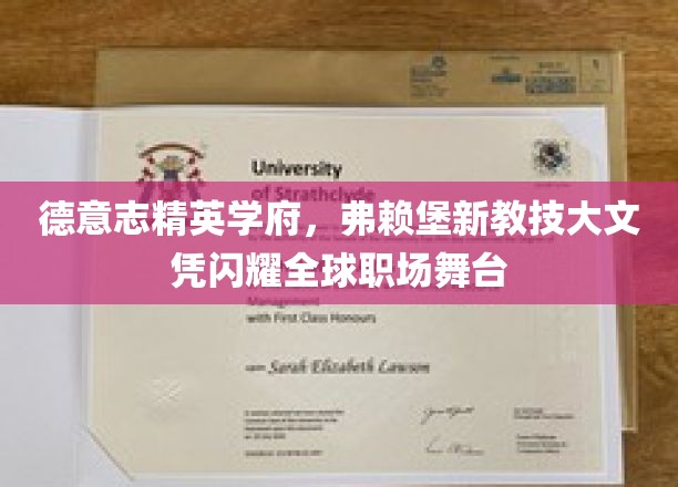 欧洲精英摇篮，弗赖堡新教技大文凭照亮国际职场未来