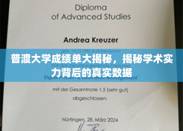 普渡大学成绩单揭秘，探究学术实力背后的数据真相