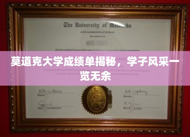莫道克大学学子风采大揭秘，成绩单背后的青春故事
