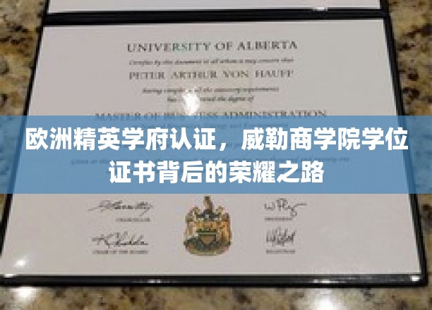 欧洲顶尖学府加持，威勒商学院学位证书闪耀全球的教育成就之旅