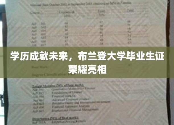 布兰登大学荣耀时刻，毕业生学位证书闪耀登场