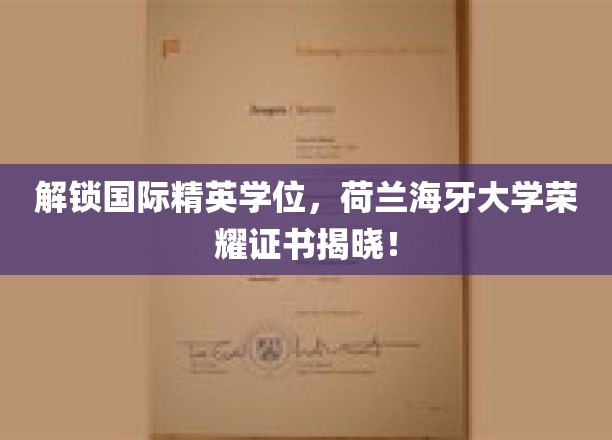 荷兰海牙大学独家荣耀，全球精英学位证书盛大亮相！