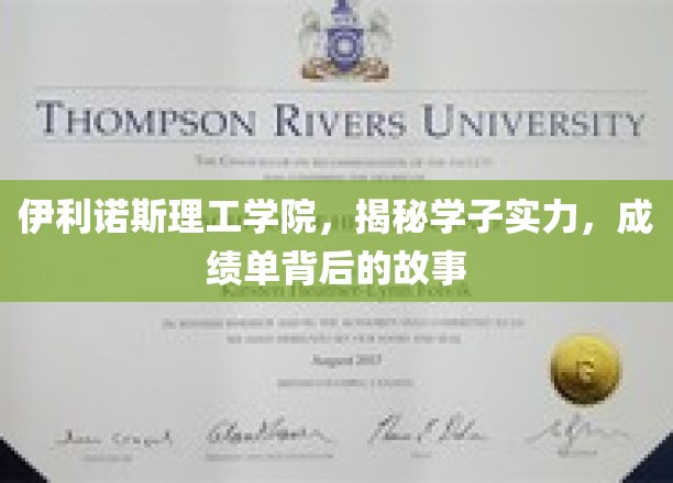 伊利诺斯理工学院，揭秘学子实力，成绩单背后的故事