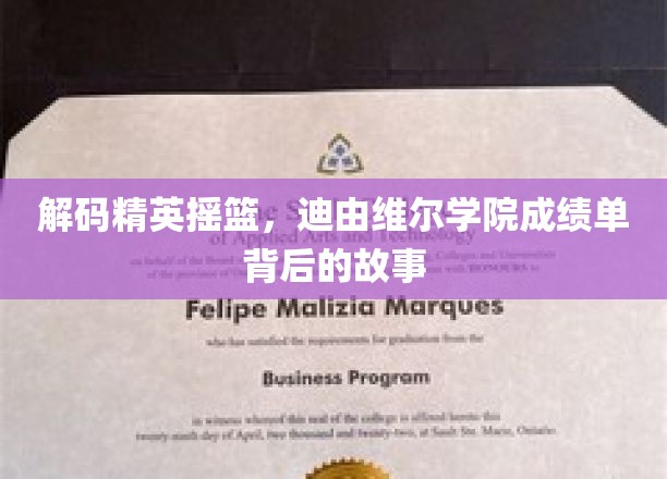 探索名校魅力，迪由维尔学院学霸传奇揭秘