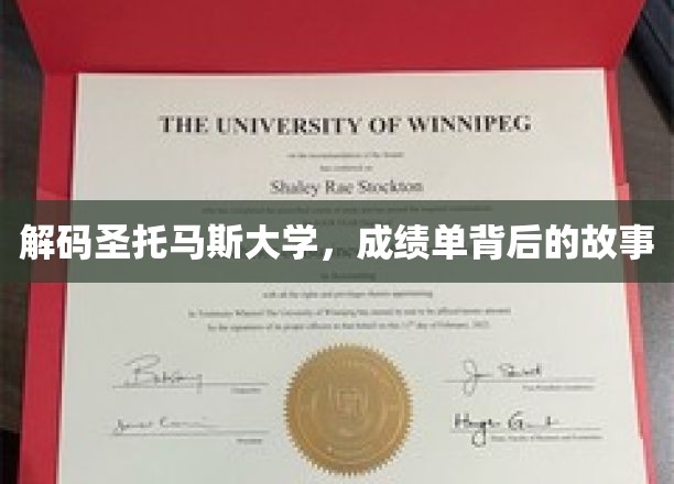 解码圣托马斯大学，成绩单背后的故事