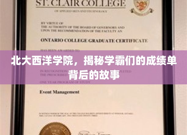 北大西洋学院学霸风云录，揭秘高分背后的不为人知故事