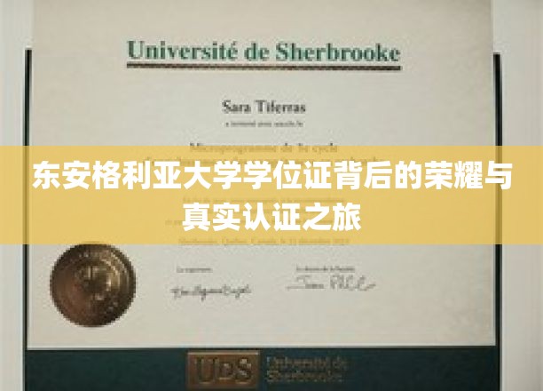 解码东安格利亚大学，学位证背后的辉煌历程与权威鉴定揭秘