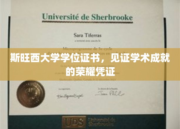 斯旺西大学学位证书，见证学术成就的荣耀凭证