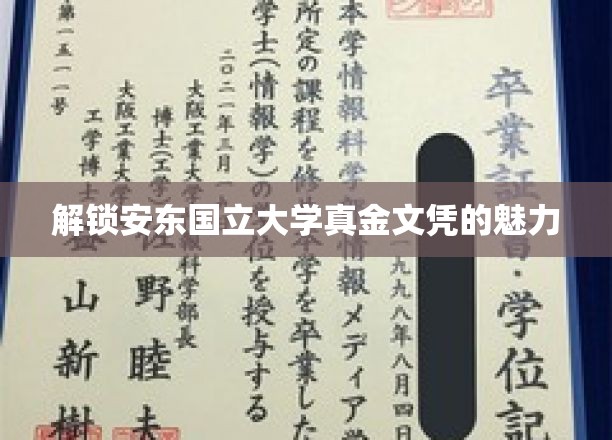 探寻安东国立大学文凭的非凡价值