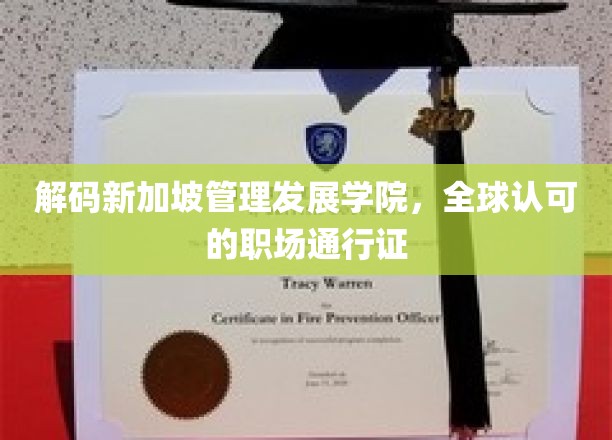 新加坡管理发展学院，解锁国际职场精英之路的密钥