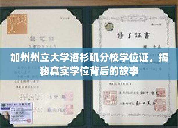 解码加州州立大学洛杉矶分校，学位证背后的非凡传奇