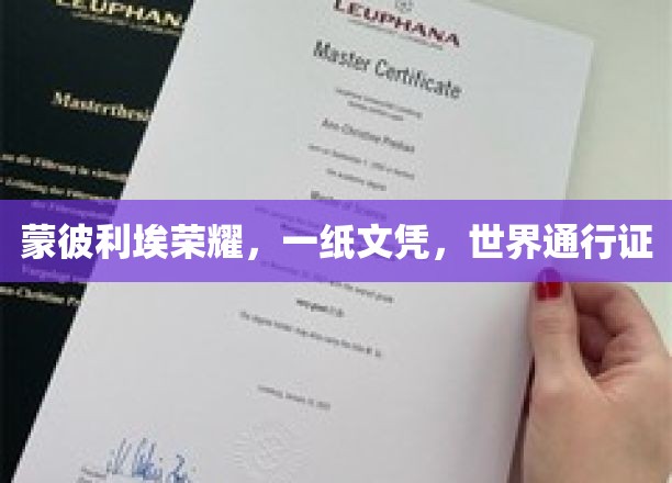 蒙彼利埃荣耀，一纸文凭，跨国界的通行证