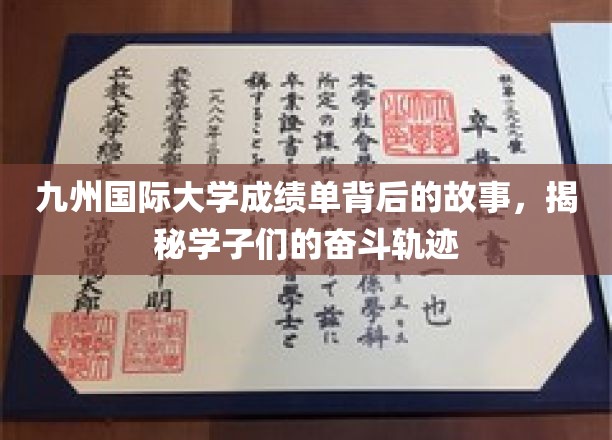 九州国际大学成绩单背后的故事，揭秘学子们的奋斗轨迹
