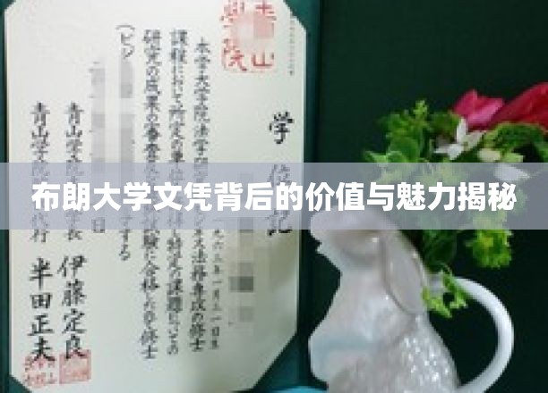 布朗大学文凭：价值与魅力的深度解析