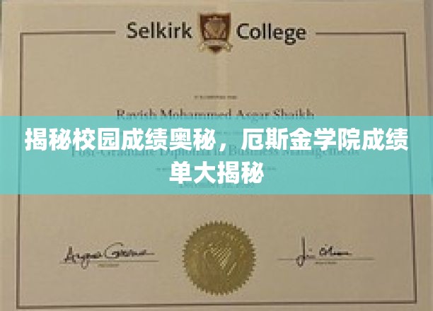 揭秘学霸秘籍，厄斯金学院成绩单背后的惊人真相