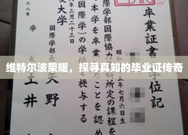 维特尔波荣耀，毕业证的传奇故事揭秘