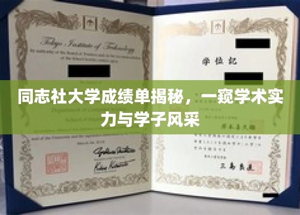 解码同志社大学，成绩单背后的学术实力与青春风采