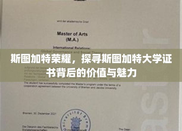解码斯图加特大学证书，探寻荣耀背后的独特价值