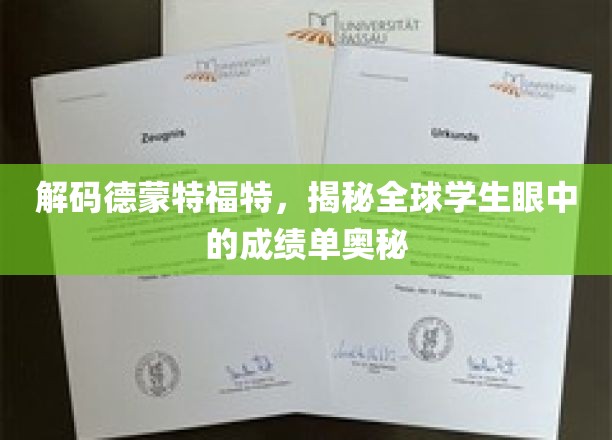 解码德蒙特福特，揭秘国际学子成绩单背后的秘密世界
