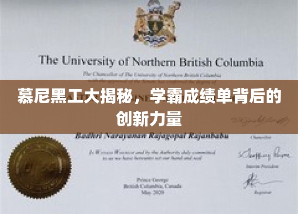 慕尼黑工大揭秘，学霸成绩单背后的创新力量