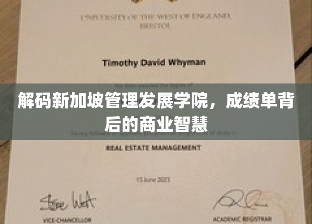 新加坡管理发展学院，揭秘卓越成绩背后的商业精髓